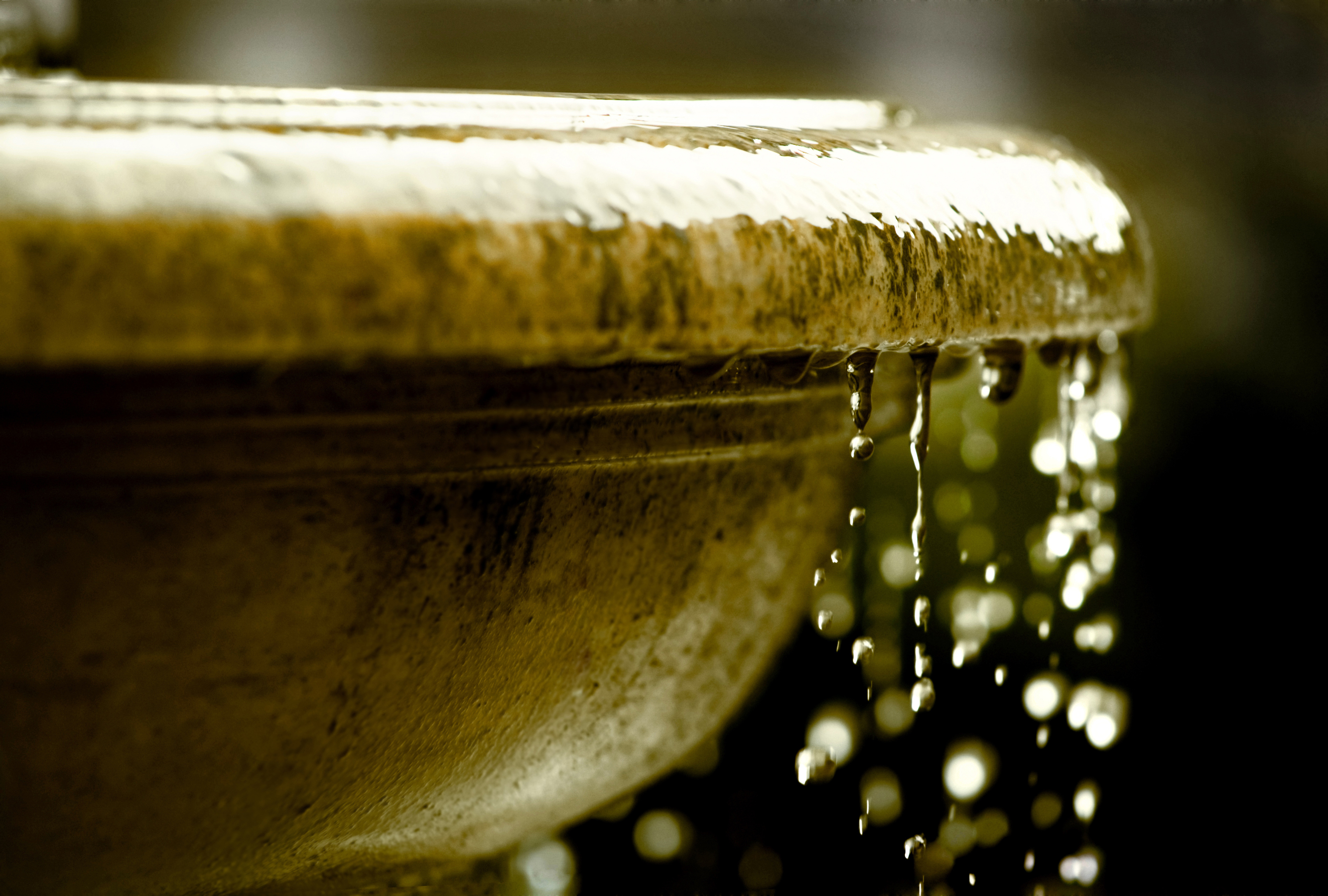 From The Fountain of Youth to TRT: The History of Testosterone Replacement Therapy