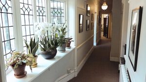 Discreet hallway of a men's health clinic, offering a private and confidential space dedicated to men's well-being and health services.
