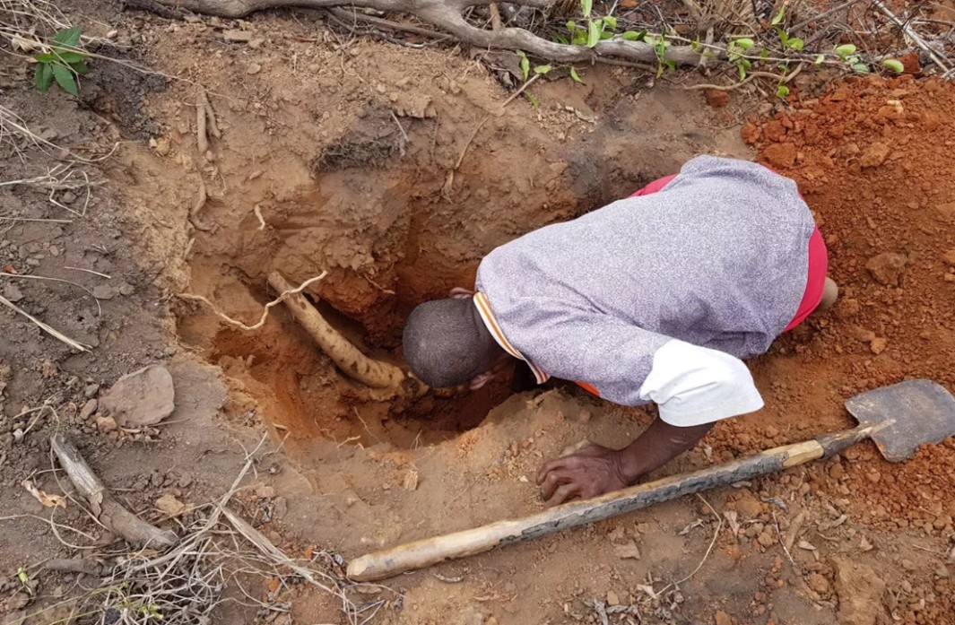 Too Fat to Fight – or to F…